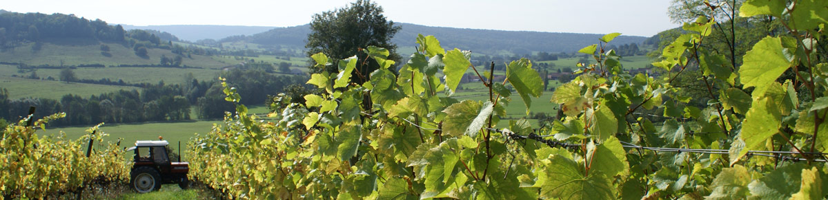 wijnarrangement bij Chateau Beaucharmoy